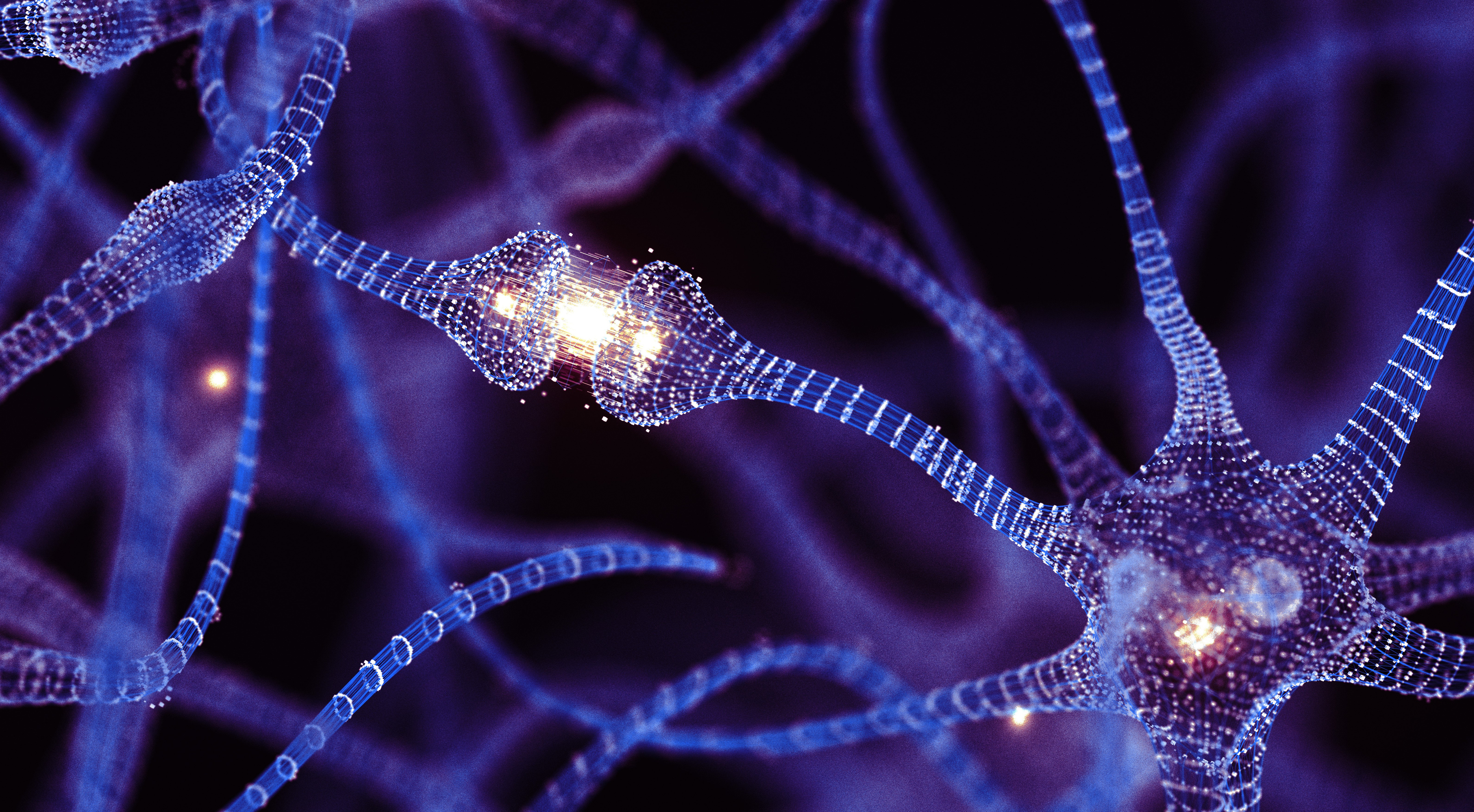 real neuron under microscope